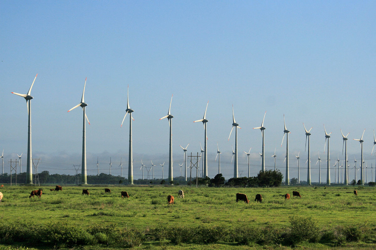 Eólica: Parque eólico de La Guajira