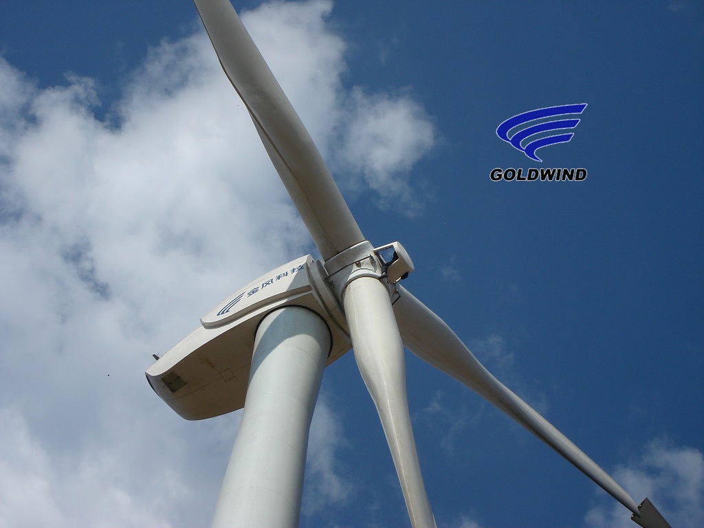 Goldwind instala 100 MW de denergía eólica en Argentina