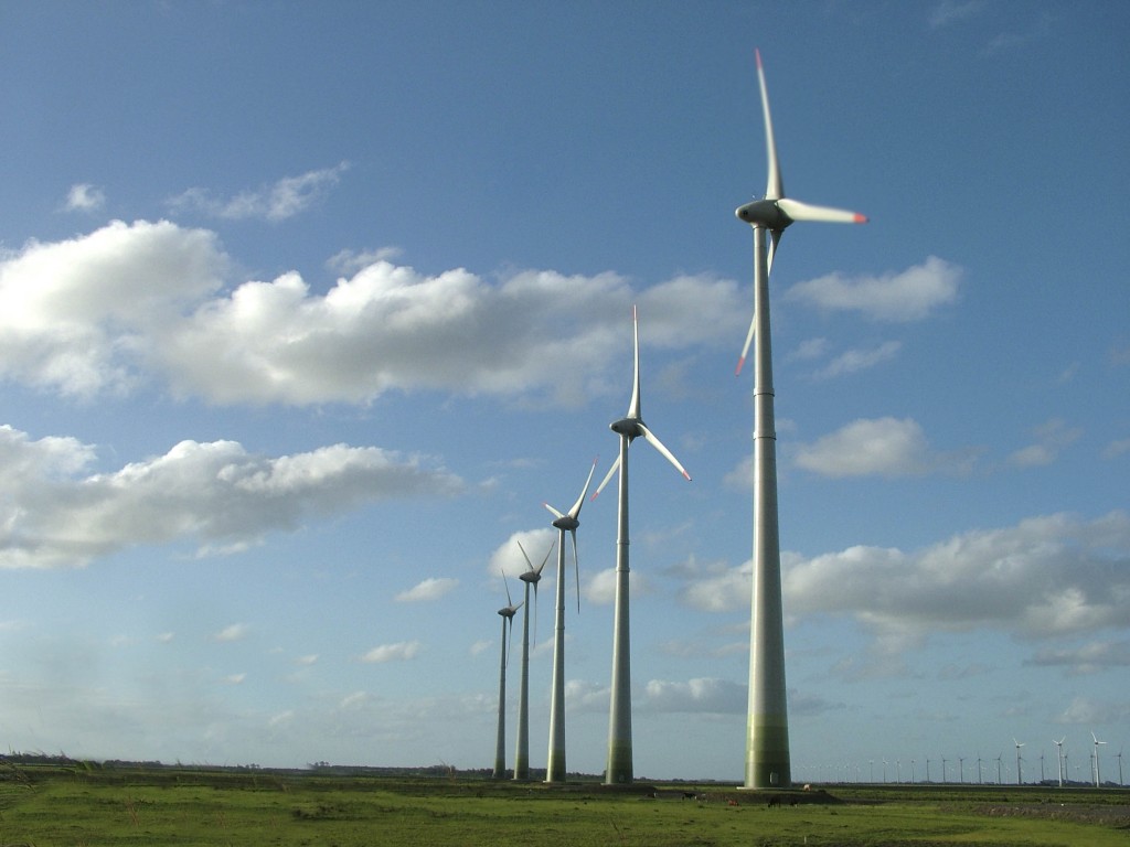 Energías renovables y eólica: Elecnor obtiene un beneficio neto de 48,5 millones de euros