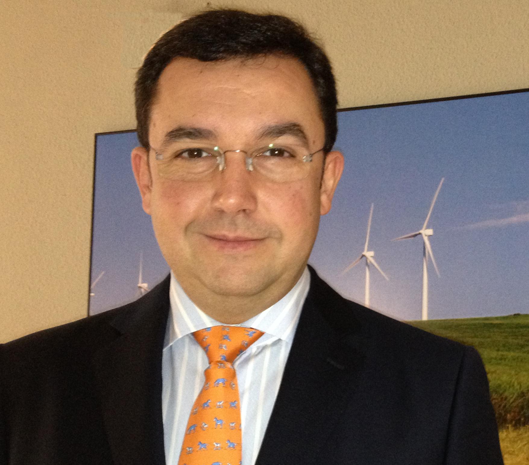 Luis Polo, director general de AEE: “Lo que está en juego con la reforma energética es el futuro de la tecnología eólica española”