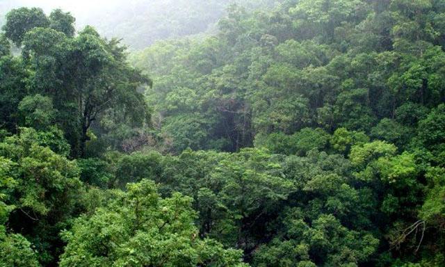 ACCIONA.ORG LLEVARÁ LA LUZ ELÉCTRICA A 1.400 FAMILIAS EN LA AMAZONÍA