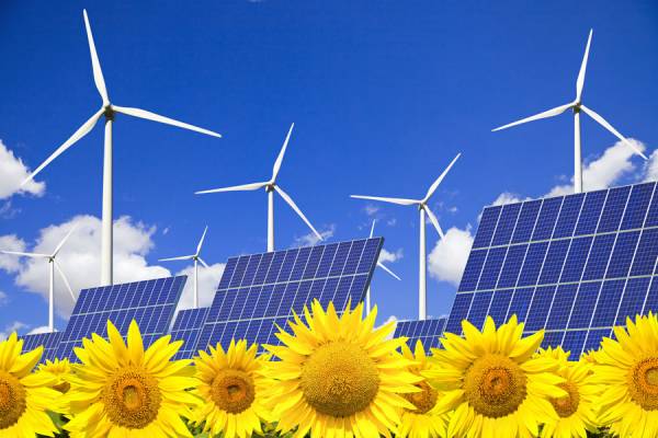 WWF reclama al Gobierno que 2013 sea el año de las energías renovables y la eficiencia