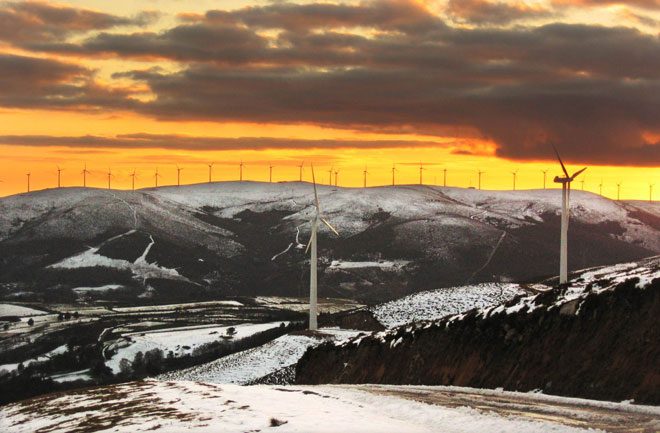 Energías renovables: La eólica generó la mitad de la electricidad en Navidad