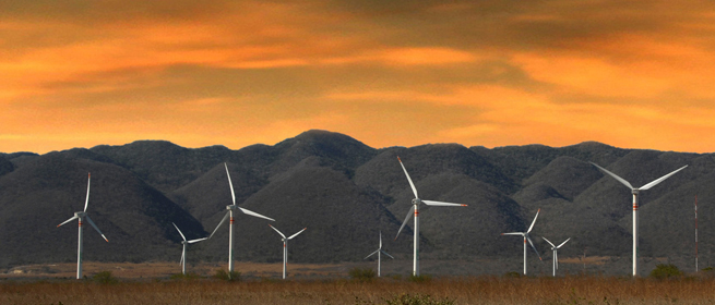 Energías renovables en Tamaulipas: desarrollo de la energía eólica con la instalación de aerogeneradores
