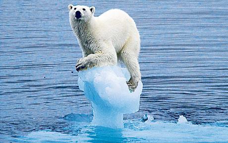 La Cumbre del Cambio Climático se cierra sin resultados concretos en el año más caliente