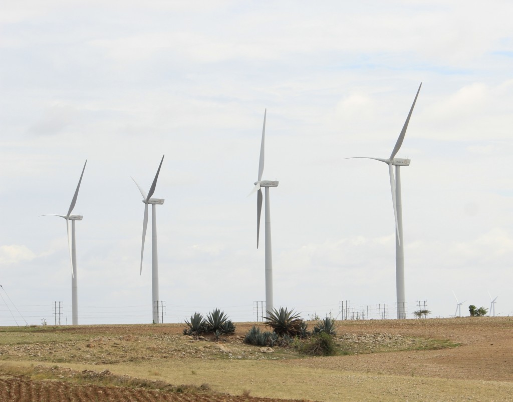 Eólica en India y México en 2014: Gamesa lidera el mercado de aerogeneradores