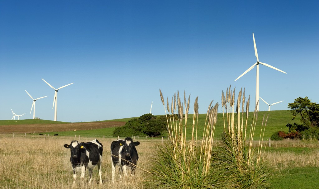 Australia-wind energy-wind farm