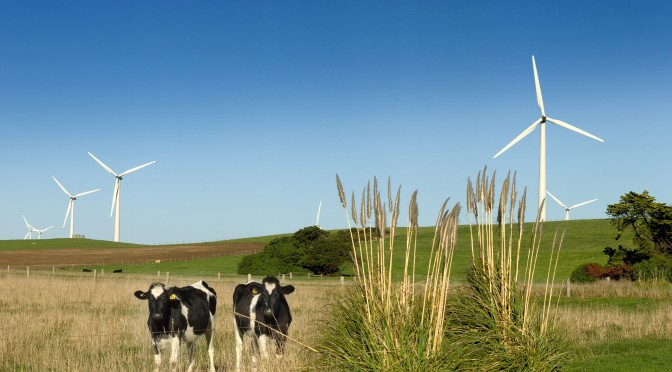 Australia: gobierno conservador paraliza las energías renovables