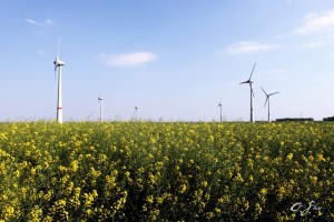 Bélgica, Belgium, eólica, wind energy, wind power, energías renovables,