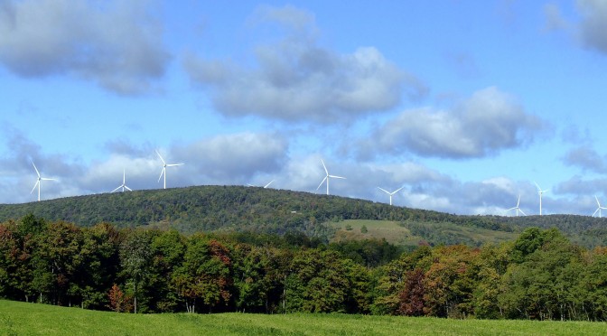 La producción de energía eólica de Escocia alcanza un nivel récord durante los primeros 6 meses del año