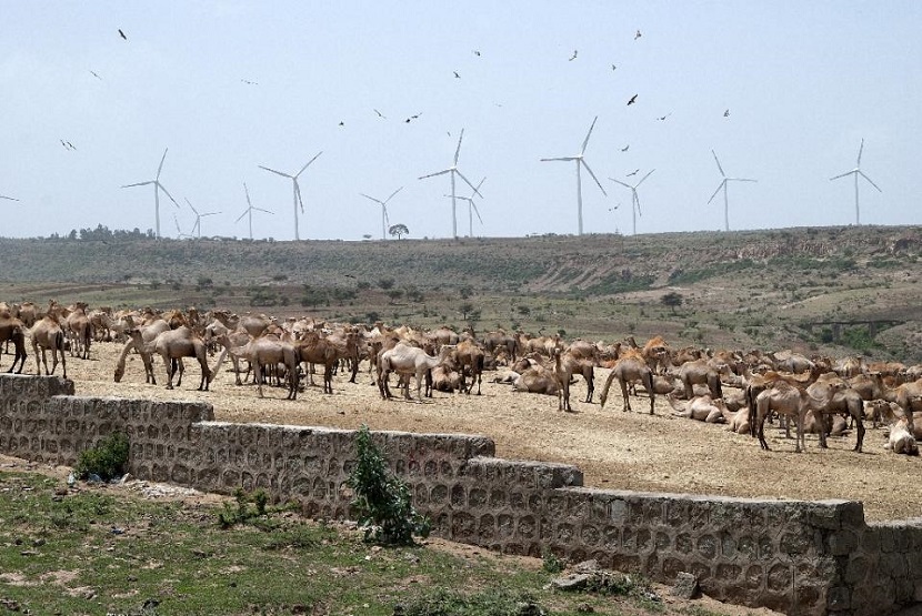 etiophia wind power