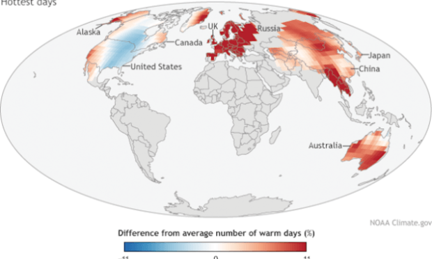 Cambio climático: El mes pasado fue el junio más cálido tanto en tierra como en los océanos