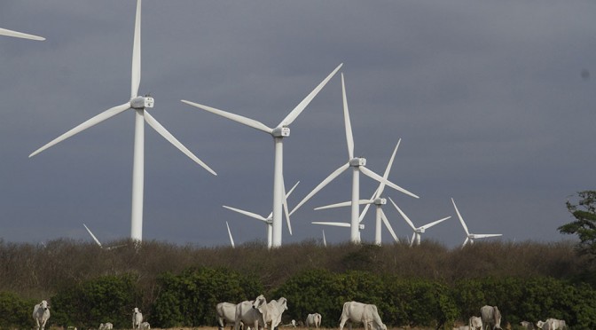 Energías renovables, clave para desarrollo de Latinoamérica