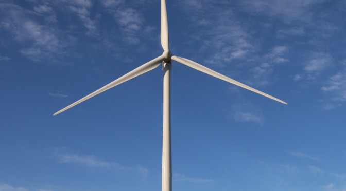 Blue Tree contrata la gestión de 80 MW de eólica con DIF