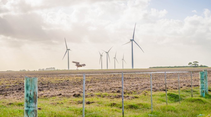 Gamesa sube dos puestos en el ranking de la eólica mundial