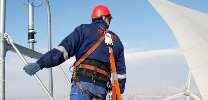 Yacimientos de empleo, transformación laboral y retos formativos en los sectores relacionados con el cambio climático y la biodiversidad en España