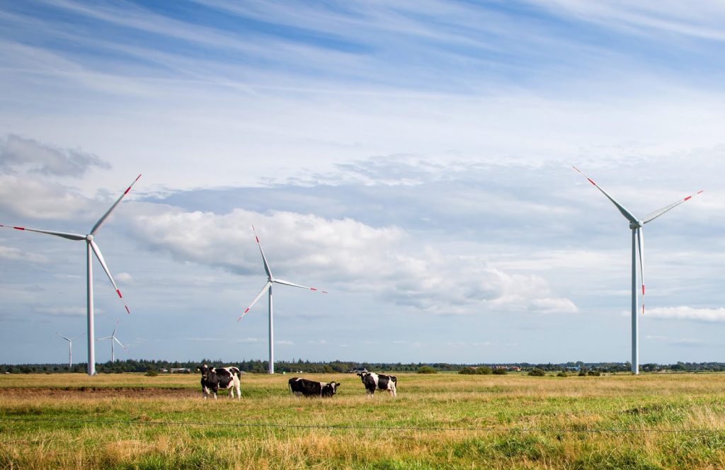 Siemens will provide three direct drive wind turbines each with a rotor diameter of 113 meters and a rating of 3.2 MW for the project Naundorf located in Germany between Dresden and Leipzig.Siemens liefert drei Direct-Drive-Windturbinen mit einem Rotordurchmesser von 113 Metern und einer Nennleistung von je 3,2 Megawatt für den Windpark Naundorf, der zwischen Dresden und Leipzig liegt.