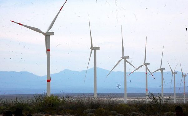 Eólica en México: parque eólico de Peñoles supera expectativas