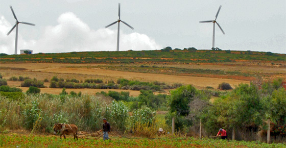 Túnez adjudica los primeros contratos de eólica