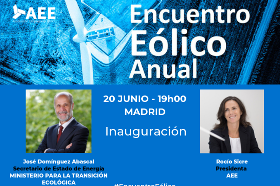 https://www.evwind.com/wp-content/uploads/2019/06/Encuentro-Elico_Inauguracin-559x372.png