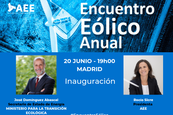 El Secretario de Estado de Energía, José Domínguez Abascal, inaugura el Encuentro Eólico Anual 2019