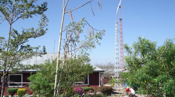 Bornay destaca el potencial de la energía eólica en Andalucía