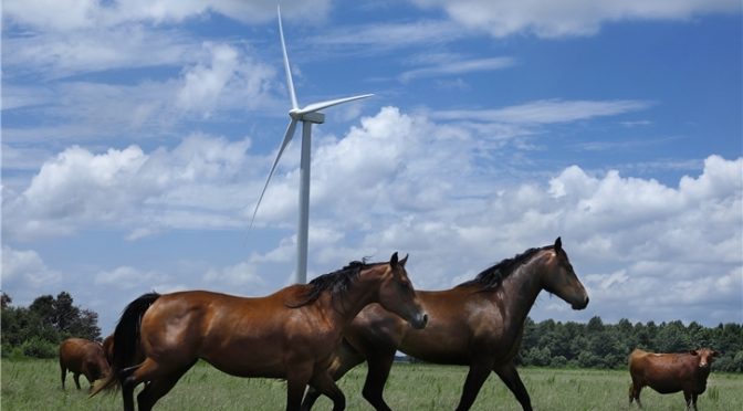 Iberdrola, líder en PPA