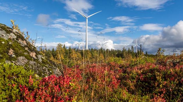 Siemens Gamesa anticipa un sólido futuro impulsado por la recuperación verde