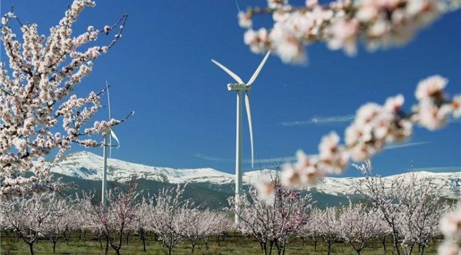 Iberdrola inicia un conjunto de energía eólica de 79 MW entre Málaga y Sevilla, en Andalucía