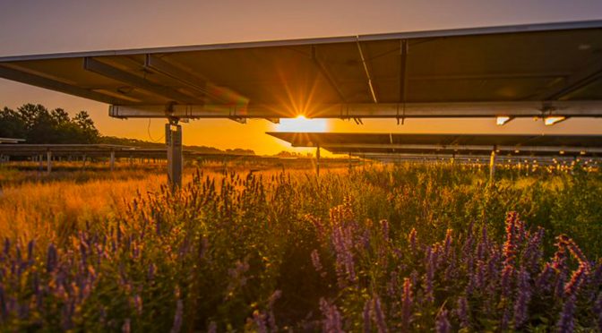 Naturgy comienza la construcción de su primera planta fotovoltaica en Extremadura