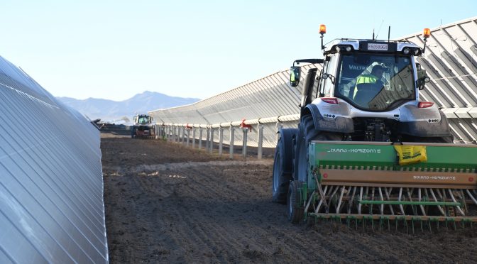 Agrivoltaica, un nuevo concepto que Endesa aplica en sus plantas renovables en España