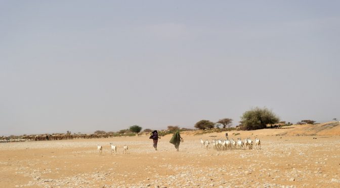 Somalia es un entorno prometedor para la energía eólica