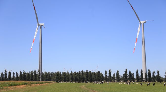 Acciona entra en la eólica de Brasil