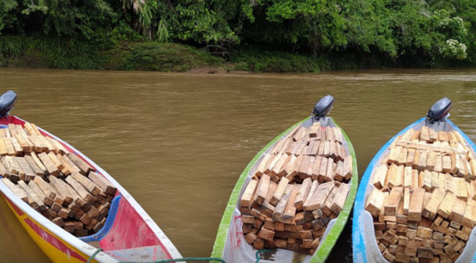 La fabricación de las palas de los aerogeneradores y el uso de la madera de balsa