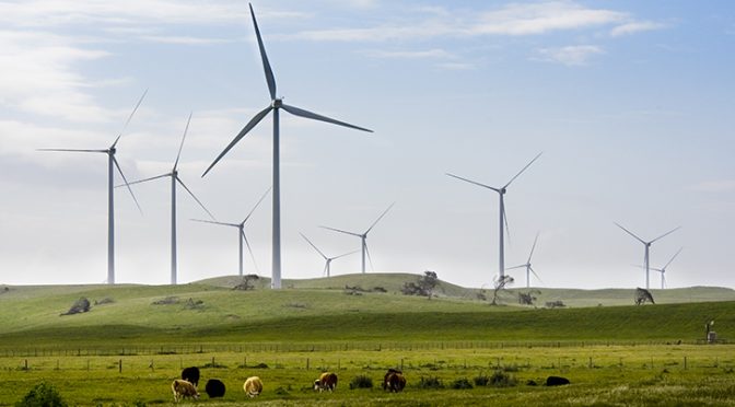 Iberdrola adquiere su mayor eólica terrestre con 1.000 MW en Australia