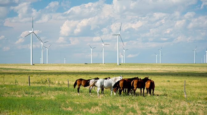 Iberdrola construye en Estados Unidos 1.800 nuevos MW renovables