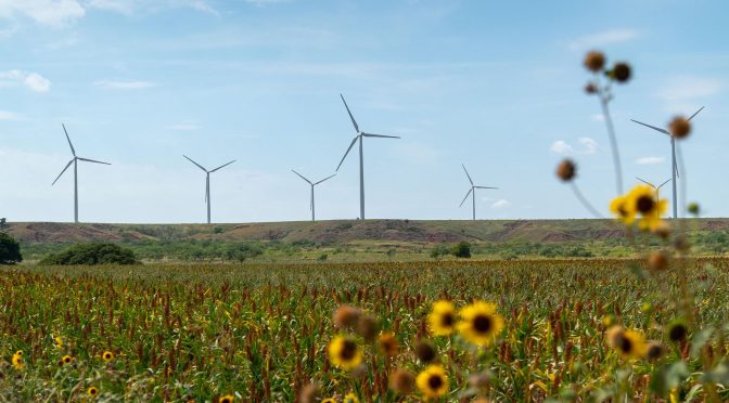 Los inversores quieren financiar más energía eólica