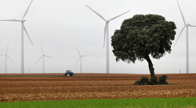 Iberdrola se propone convertir en 100 por cien verdes los sectores agrícola y ganadero