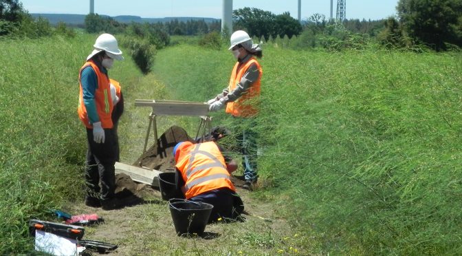 Arqueología y energía renovable en Chile, la historia milenaria de Renaico