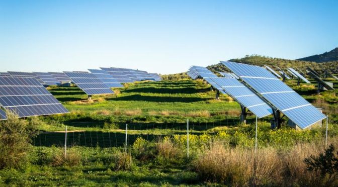 La generación fotovoltaica bate récords en lo que llevamos de año y supera lo que generó en todo 2021