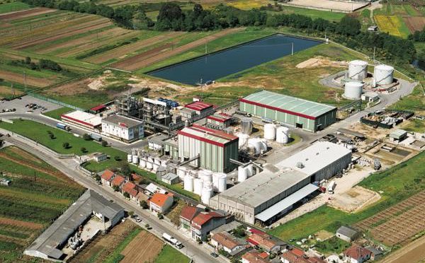 Iberdrola y Foresa avanzan en su alianza para liderar la producción de metanol verde en España