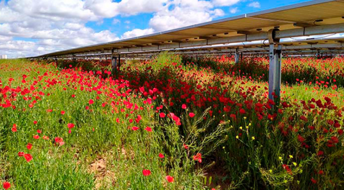 El BEI financia las centrales solares de Iberdrola en Portugal