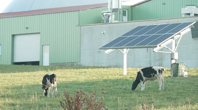 Iberdrola se adjudica cuatro proyectos de innovación agrovoltaicos en Francia