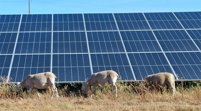 Iberdrola y Exiom inauguran en primavera su fábrica de paneles solares de fotovoltaica en España