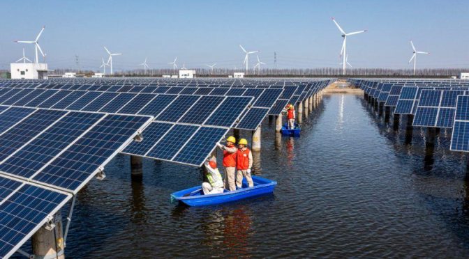 La energía solar ha experimentado un notable aumento de capacidad en todo el mundo