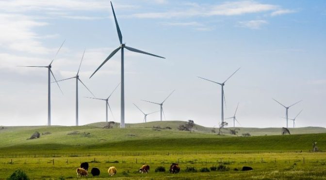 Iberdrola instala 3.000 MW de eólica y solar en los últimos doce mesesIberdrola instala 3.000 MW de eólica y solar