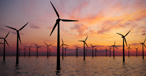 Finlandia subastará cinco emplazamientos de energía eólica marina