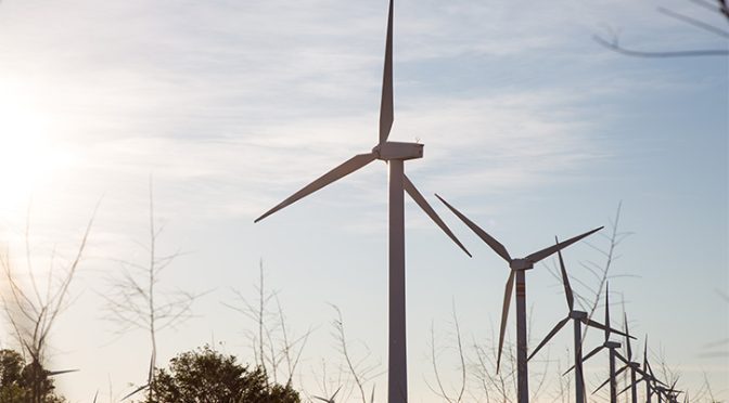 El Banco Mundial concede un préstamo verde de 300 millones a Iberdrola para proyectos renovables en países emergentes