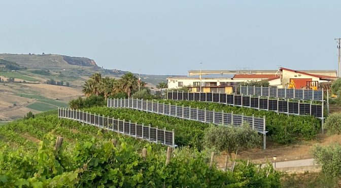 Sicilia produce juntos energía fotovoltaica y buen vino