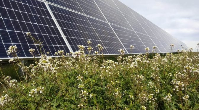 Solaria desarrolla una comunidad energética con fotovoltaica para el pueblo de Durón (Guadalajara)